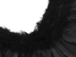 Feather angel wings black fairy tale costume cosplay halloween disguise
