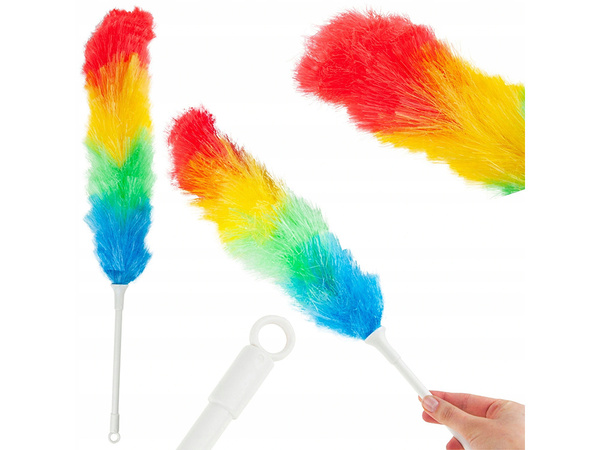 Brosse à épousseter télescopique balai