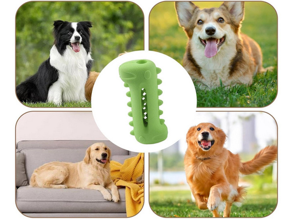 Jouet pour chien à mâcher pour le nettoyage des dents jouet pour chien pour les friandises