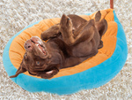 Plush bed cushion dog playpen cat soft couch bedding