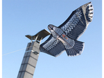 Cometa bird eagle 2m disuasor de aves con línea