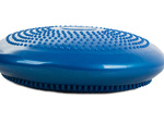 Sensomotor cushion disc hedgehog rehabilitation cushion