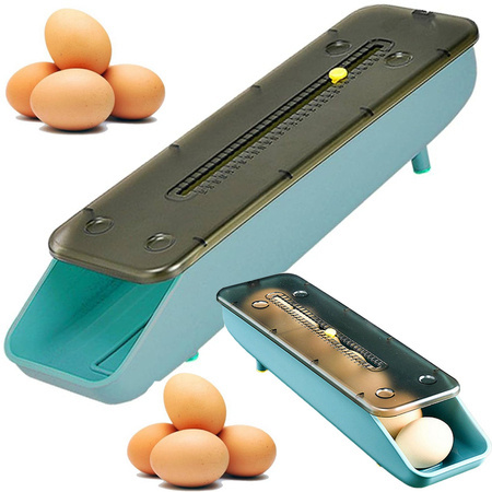 Container egg box fridge organiser egg tray