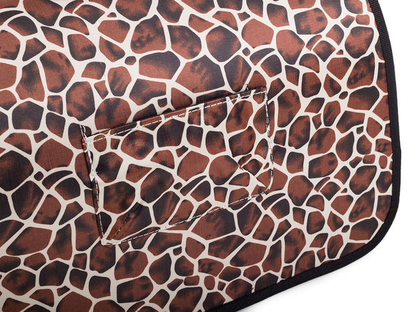 Transpordikott koerakandja kass suur