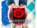 Rose éternelle dans une boîte cadeau boîte à bijoux collier tiroir