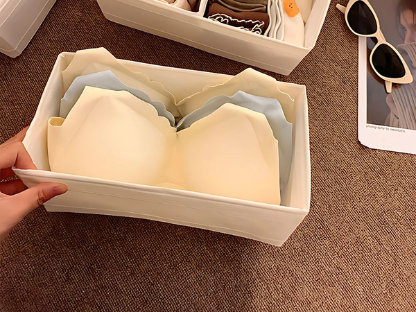 Organizér na podprsenku spodní prádlo ponožky šatní skříň bílá