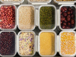 Récipients alimentaires pour pâtes récipients alimentaires avec joint d'étanchéité ensemble de 5 pièces
