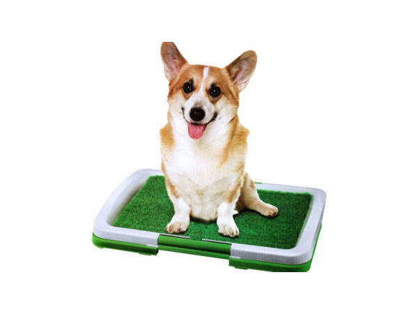 Šuniukas šuns žolės kraiko dėklas mokymosi kilimėlis