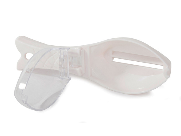 Fish scraper peeler scallion knife container