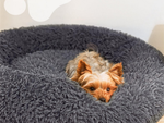 Lit de chien pelucheux lit de chat coussin doux lit de canapé 50cm