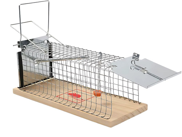 Humane rat trap large metal cage xl