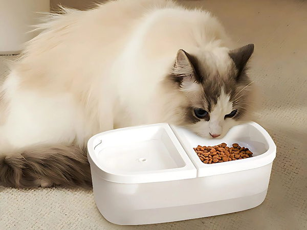 Brunnen katze napf hund wasser und futter automatische tränke 2in1 usb