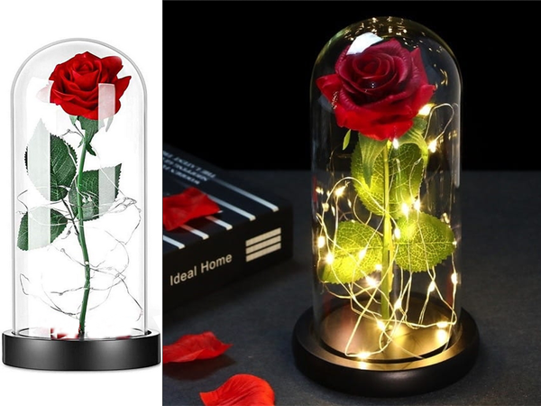 Immerwährende rose im glas rot geführtes geschenk leuchtend für eine gelegenheit für frauen