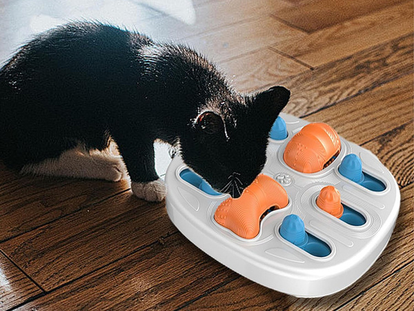 Oktató kutyajáték logikai jutalomjáték szagló rágójáték