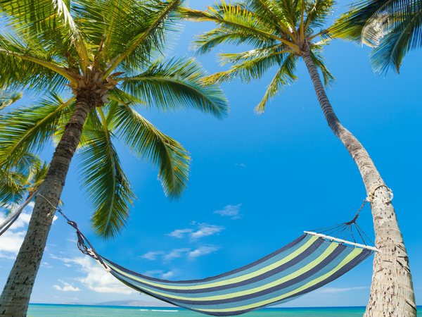 Kerti függőágy megerősített csíkos színes fa hintaágy 200 x 80