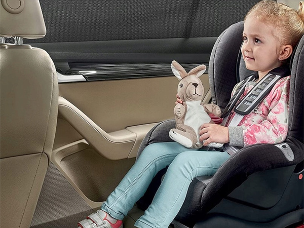 Rear window mosquito net for car black 2pcs