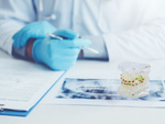 Model dentar maxilar dinți dinți aparate dentare