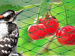 Bird netting bird netting strong 4x6m