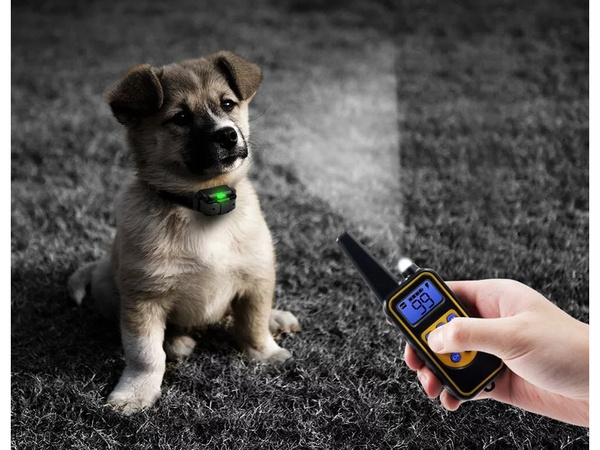 Collier de dressage électrique pour chien 800m télécommande