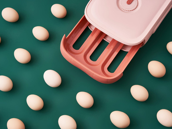 Boîte à oeufs boîte d'organisation pour réfrigérateur boîte à oeufs à tiroir