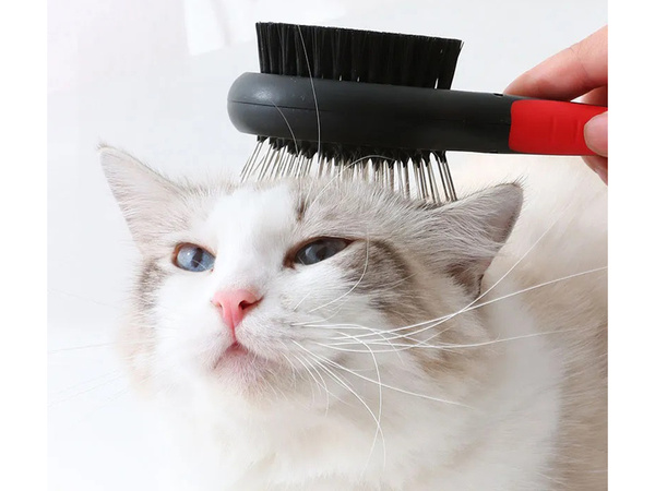 Hundehaarbürste katze weich doppelseitig