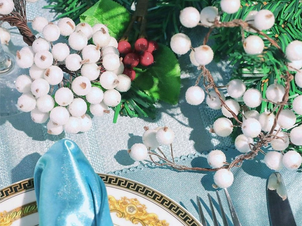 Décoration de noël en sorbier blanc givré 5 pcs