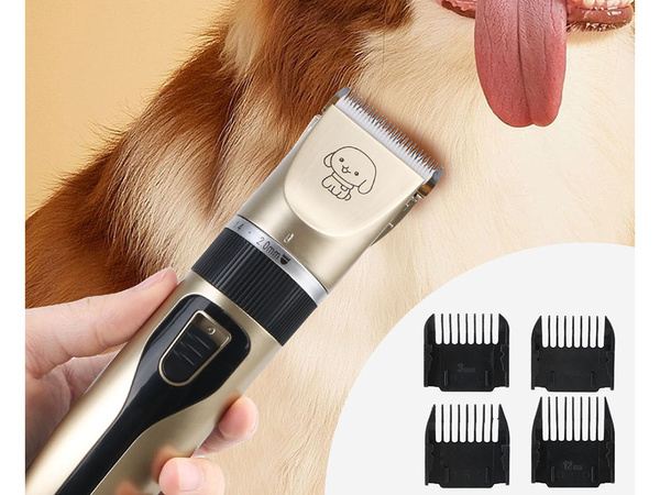 Set professionnel de tondeuses sans fil pour chiens et animaux de compagnie