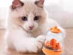Dog toy for treats food food ball interactive ball ball