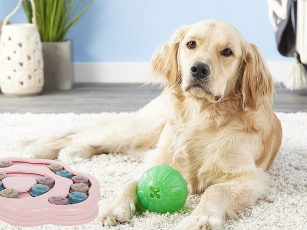 Erzieherisches hundespielzeug logisches leckerbissen-spiel olfaktorisches puzzlespiel