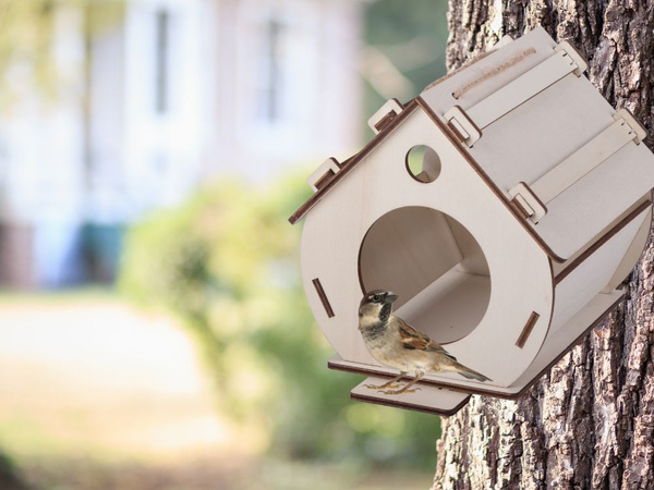 Vogelhaus nistkasten aus holz zum zusammenbauen farbe diy