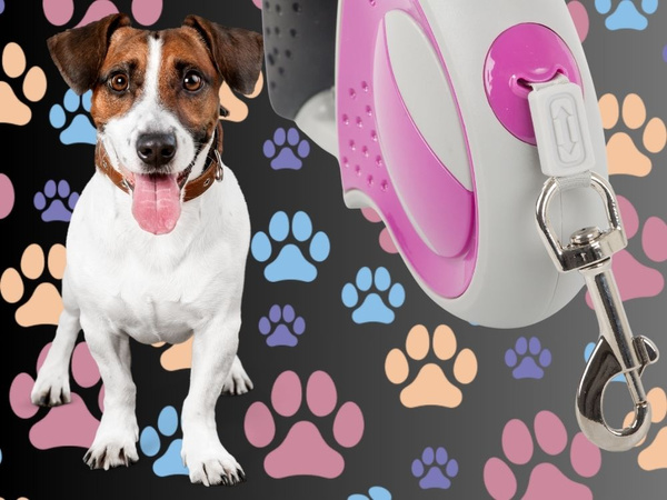 Laisse automatique 5m pour chien jusqu'à 20kg avec cadenas fort long