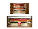 Bin organiser kitchen cupboard shelf
