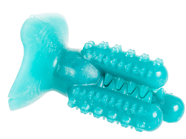 Perro masticar cepillo de dientes cactus para perros