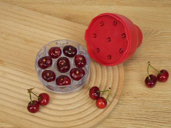 Cherry, sour cherry and olive pitter with container, manual pitter