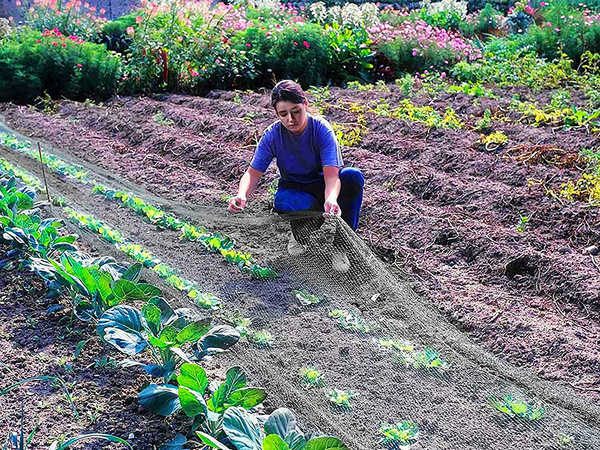 Madárháló madárháló erős 4x6m