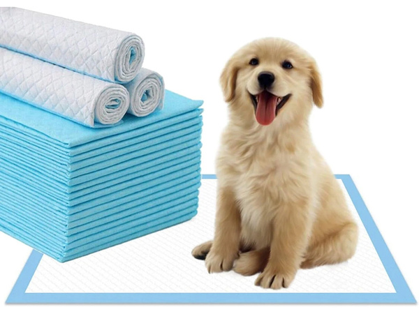 Materiel pour chiens enseignant a faire pisser 45x60 50 tailles