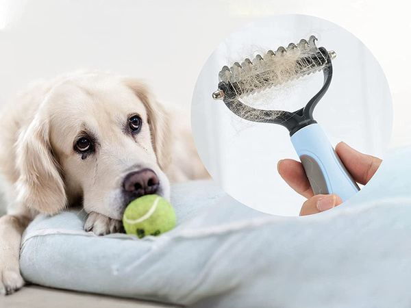 Brosse peigne tondeuse enlève les poils de chien poils de chat