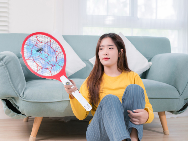 Palette électrique pour attraper les mouches paquet pour attraper les mouches moustiques mites acum.