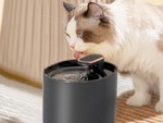 Bebedero automático para gatos fuente de agua para perros filtros cuenco de agua