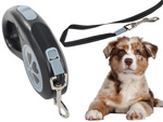 Automatische hundegartensperre kraftvolles leichtgewicht 5m 15kg