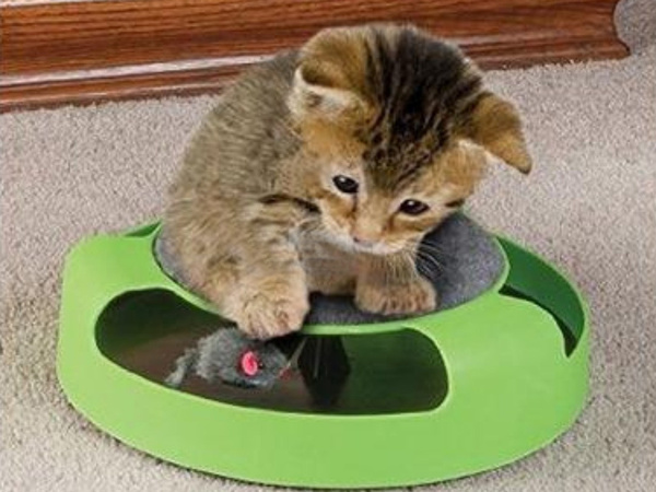 Juguete para gatos ratón rueda rascador ratón