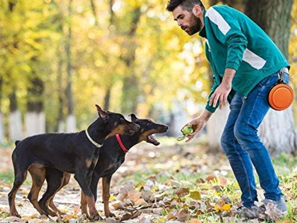 Silikon-faltschüssel für hund katze reisen reiseleicht 800ml