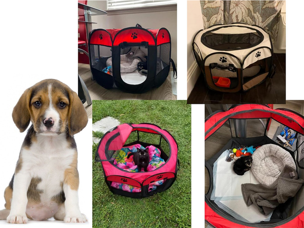 Kokkupandav koera pesa lemmiklooma voodi kassi puur suur kennel kergekaaluline