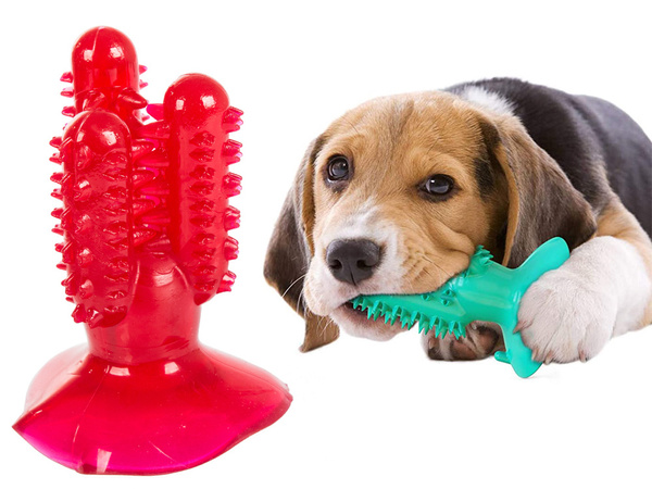 Dog chew toothbrush cactus for dogs