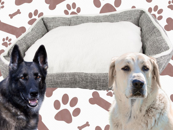 Dog bed soft comfortable fluffy bed with cushion size xl