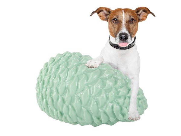 Dog chew teeth cleaning toy dog cone for treats