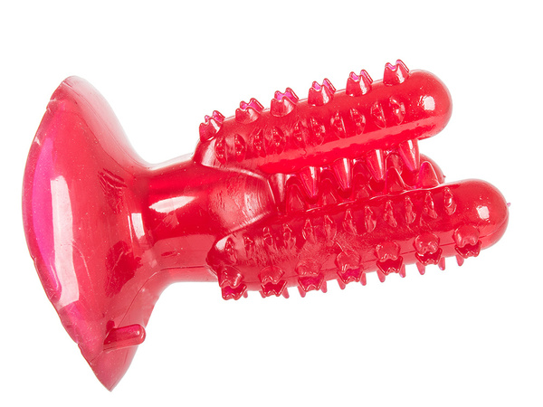 Perro masticar cepillo de dientes cactus para perros