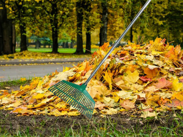 Zahradní hrabě na trávníkové lístky lehký plastový stébla hliník 40cm