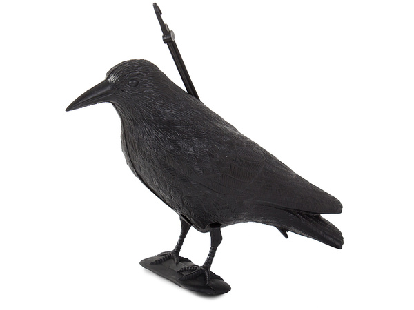 Dissuasion d'oiseaux étourneaux pigeons rongeurs grand xxl