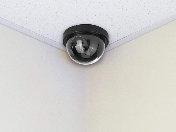 Viltus cctv kameras kameras kupola diode